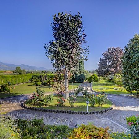 Villa Luce-Casa Vacanza Con Vista Panoramica Mare. Velletri Exterior foto